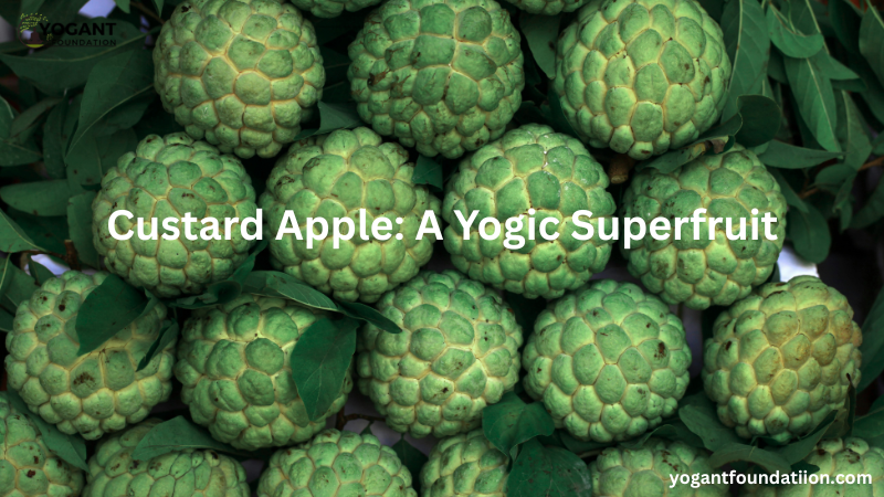 Custard Apple: A Yogic Superfruit