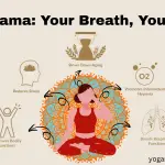 Pranayama | 3 Stages of Pranayama | Types of Pranayama
