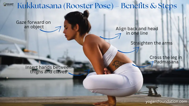 Kukkutasana (Rooster Pose) | Benefits | Steps