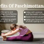 Seated Forward Bend Benefits Of Paschimottanasana