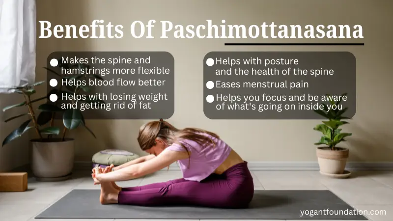 Seated Forward Bend Benefits Of Paschimottanasana