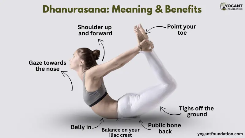 Dhanurasana - Meaning, Benefits and Contraindications