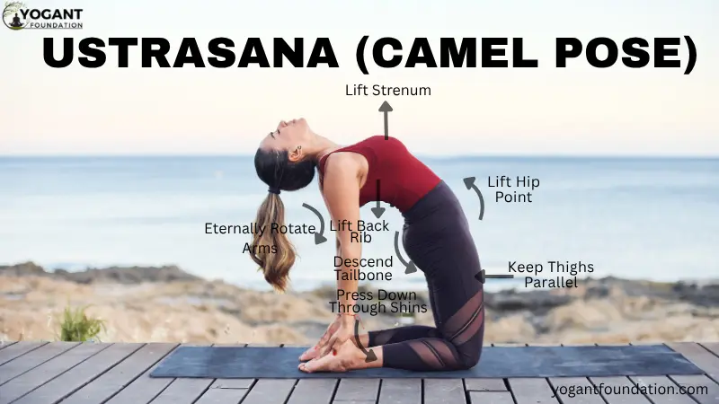 Ustrasana (Camel Pose) | Benefits | Technique | Importance & Hindi Meaning