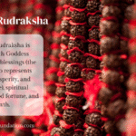 7 Mukhi Rudraksha (7 मुखी रुद्राक्ष)