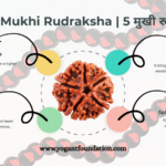 5 Mukhi Rudraksha Benefits