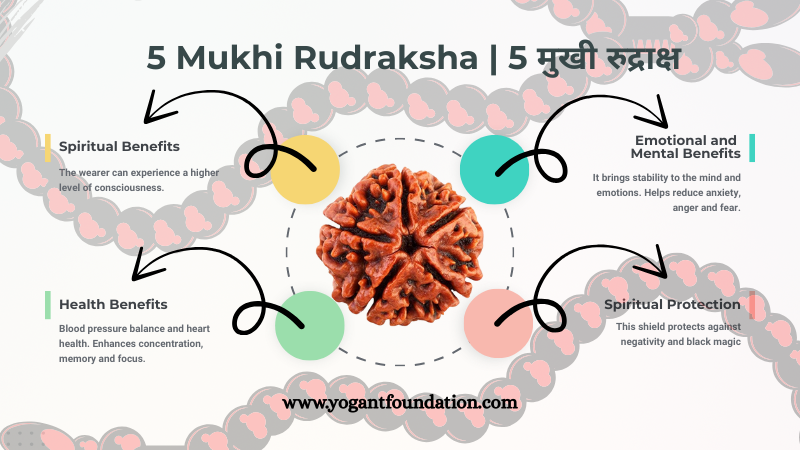 5 Mukhi Rudraksha Benefits