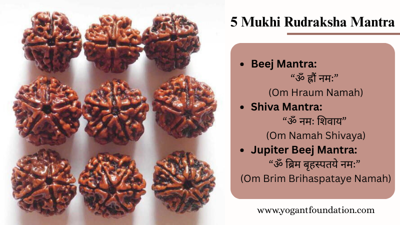 5 Mukhi Rudraksha Mantra