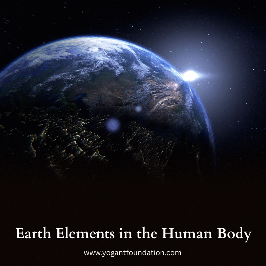5 elements of nature - Prithvi (Earth Elements)