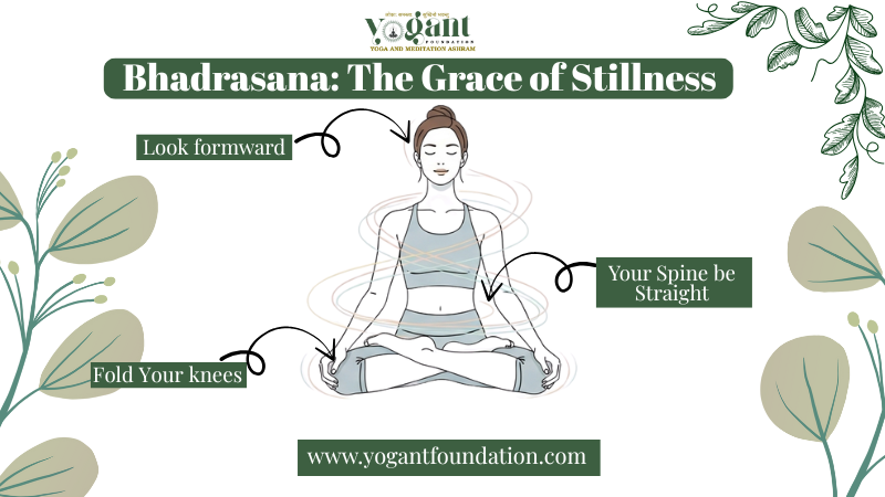 bhadrasana