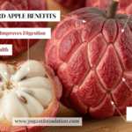 red custard apple