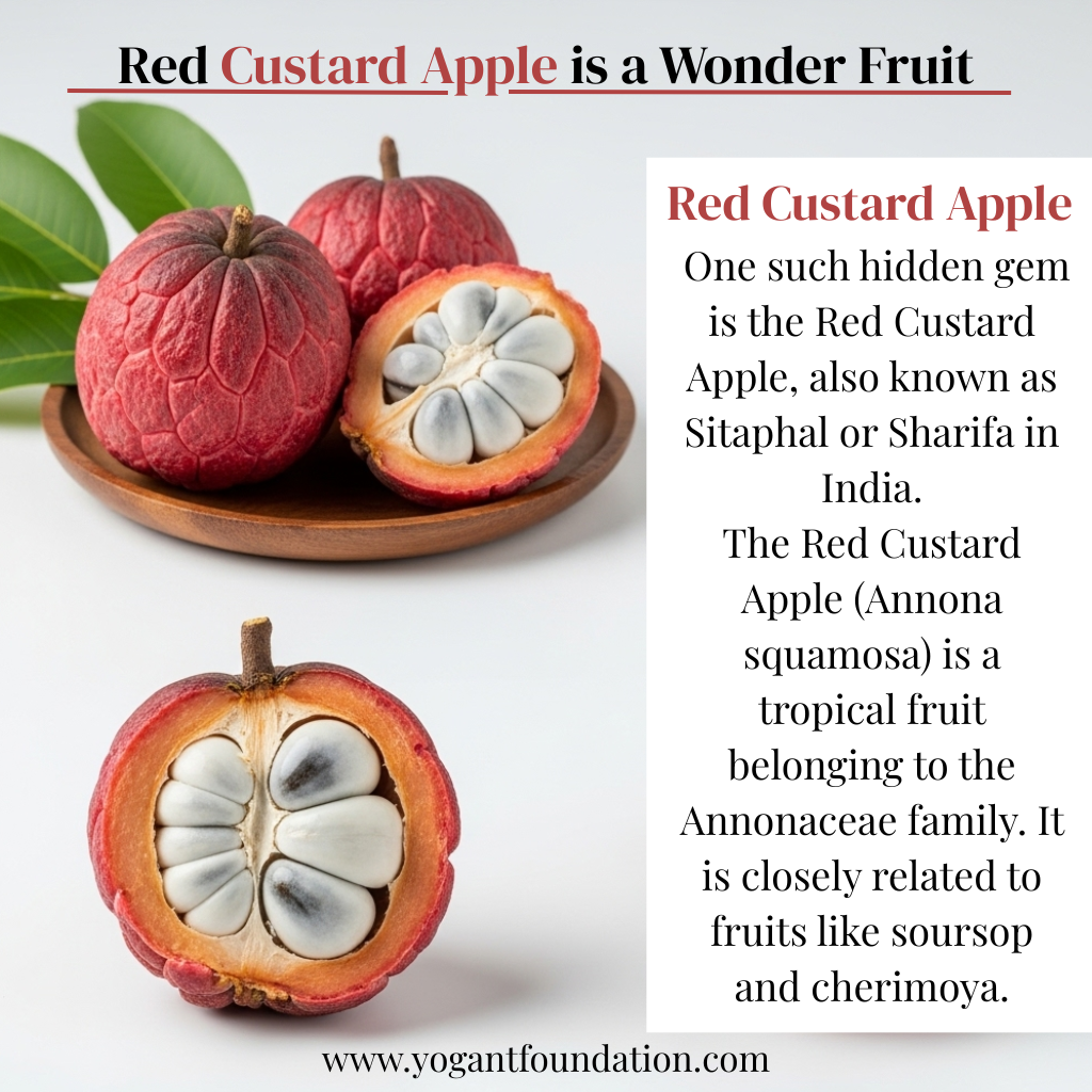 red custard apple 