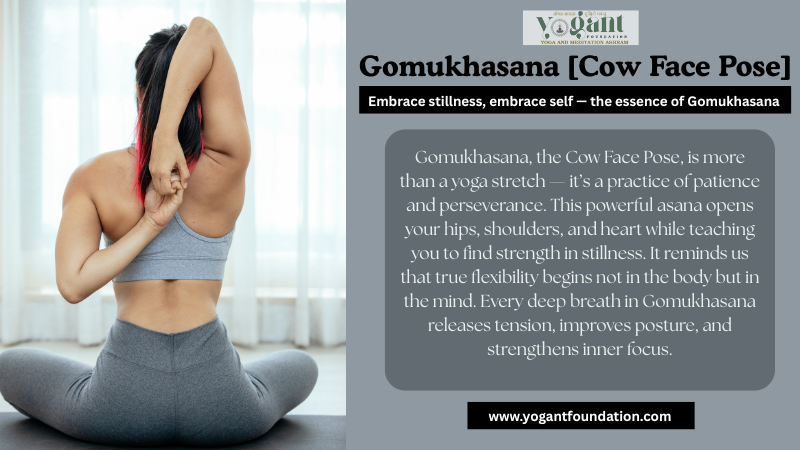 gomukhasana images​
