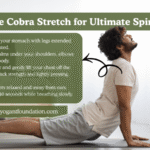cobra stretch