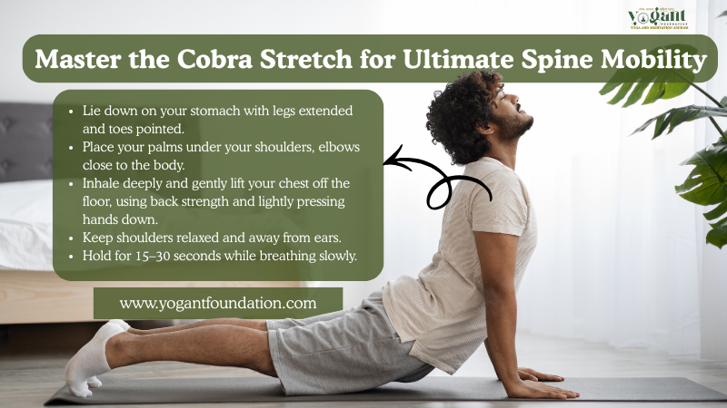 cobra stretch