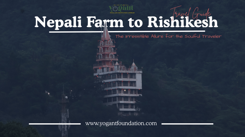 nepali farm rishikesh