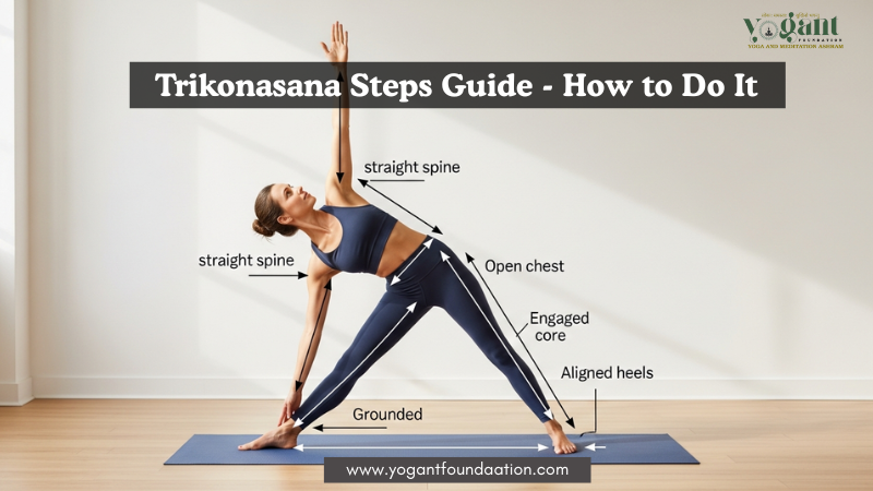 trikonasana image