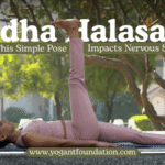 ardha halasana images​