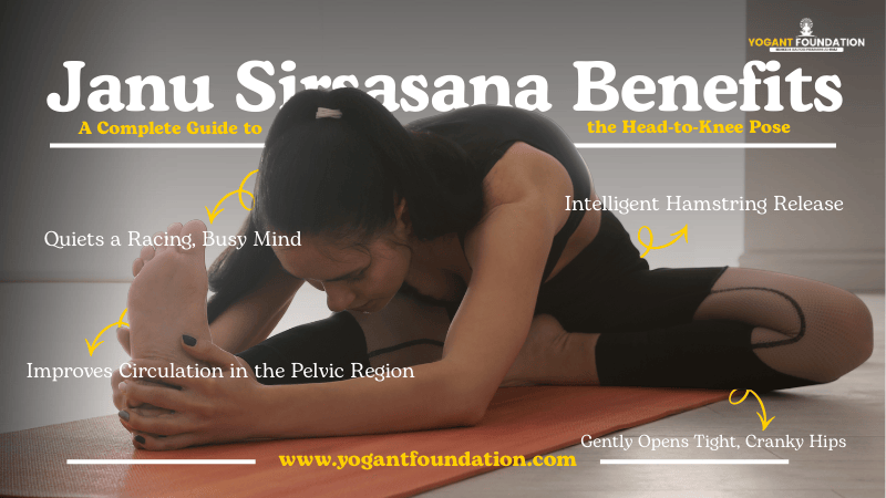 janu sirsasana images