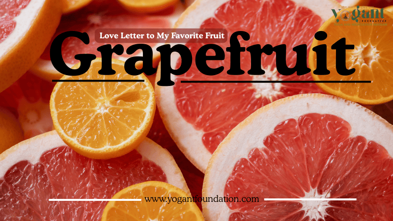 grapefruit images