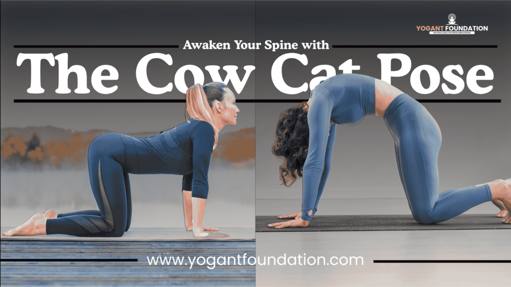 cat-and-cow-yoga-pose