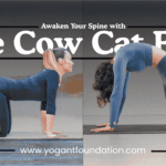 cat-and-cow-yoga-pose