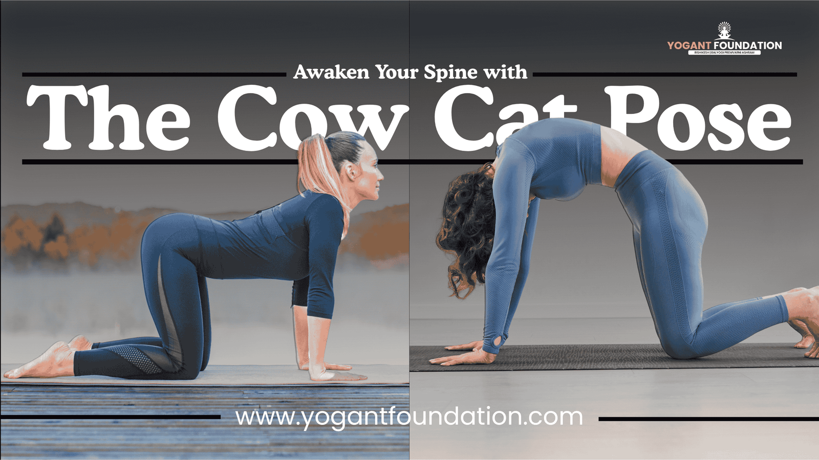 cat-and-cow-yoga-pose