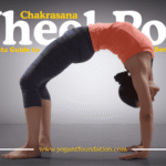 chakrasana-images​