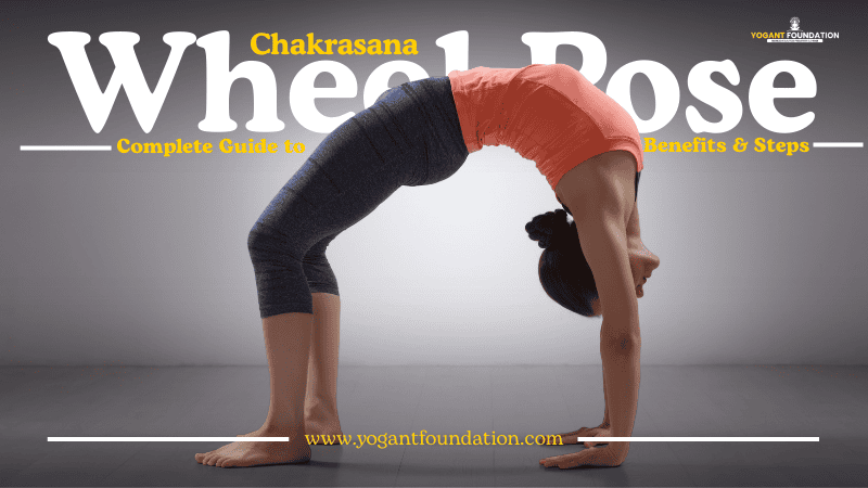 chakrasana-images​