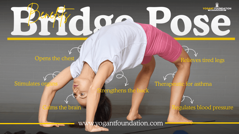bridge-pose-setu-bandhasana