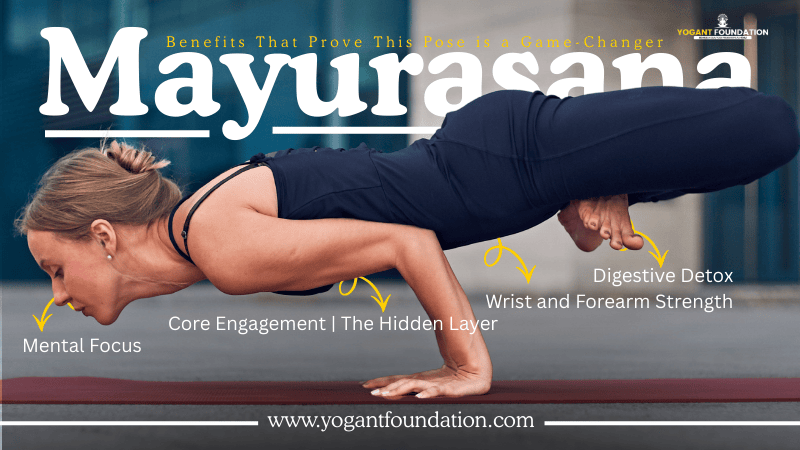 mayurasana-images