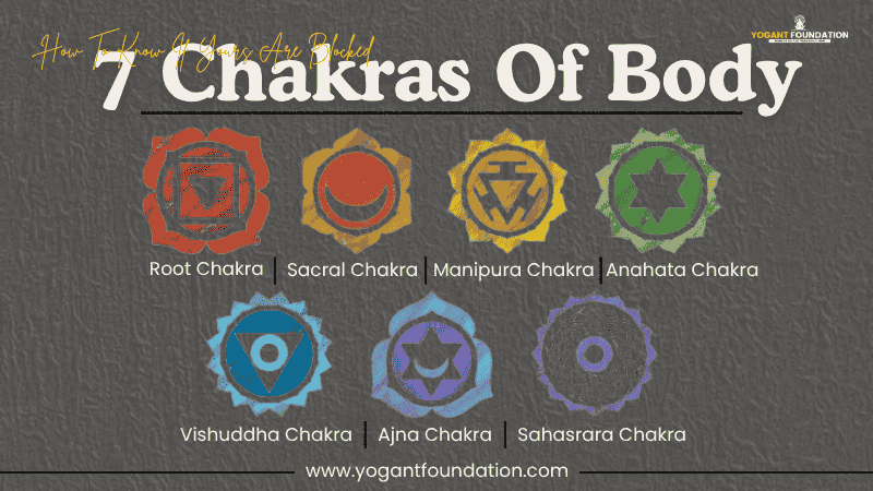 7-chakras