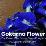 gokarna-flower