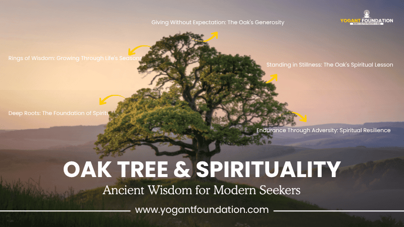 oak-tree-trees