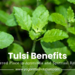 tulsi-benefits