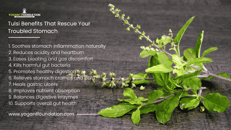top-tulsi-benefits