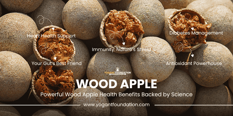 wood-apple-benefits