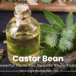 castor-bean