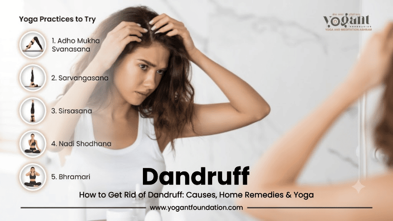 how-to-control-dandruff-with-yoga